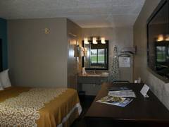 Zimmerbild 6