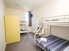 Zimmerbild 3