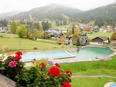 Zimmerbild 6