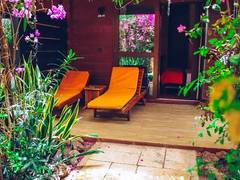 Zimmerbild 11