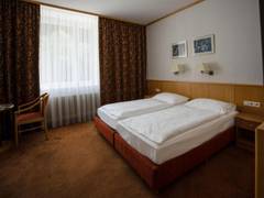 Zimmerbild 9