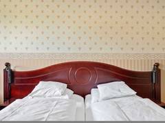 Zimmerbild 12
