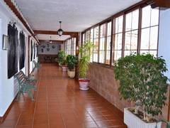 Zimmerbild 6
