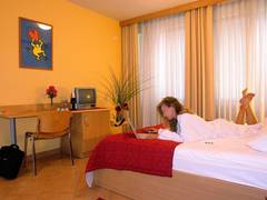 Zimmerbild 11