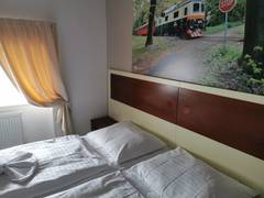 Zimmerbild 6