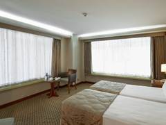 Zimmerbild 11
