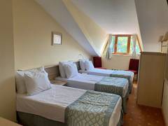 Zimmerbild 8