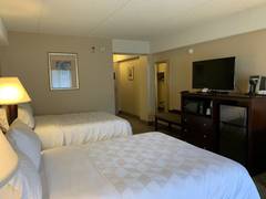 Zimmerbild 5