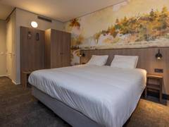 Zimmerbild 11