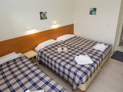 Zimmerbild 5