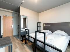 Zimmerbild 3