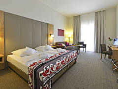 Zimmerbild 6
