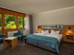 Zimmerbild 1