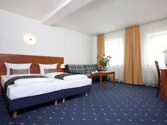 Zimmerbild 6