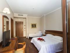 Zimmerbild 6