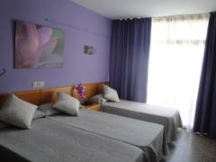 Zimmerbild 10