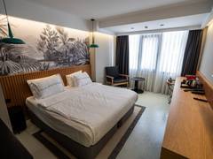 Zimmerbild 8