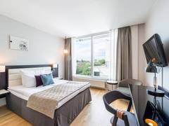 Zimmerbild 8