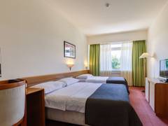 Zimmerbild 11