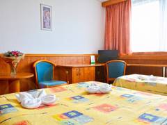 Zimmerbild 25