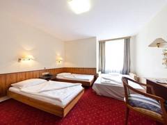 Zimmerbild 15