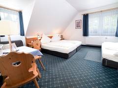 Zimmerbild 5
