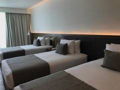 Zimmerbild 5