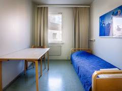 Zimmerbild 5