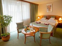 Zimmerbild 6