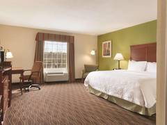 Zimmerbild 1