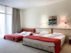 Zimmerbild 6