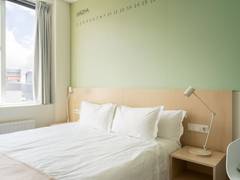Zimmerbild 12