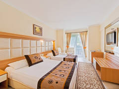 Zimmerbild 6