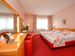 Zimmerbild 4