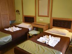 Zimmerbild 6