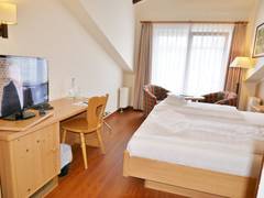 Zimmerbild 6