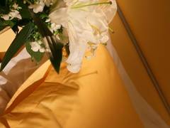 Zimmerbild 13