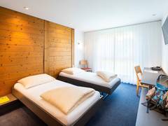 Zimmerbild 13