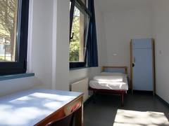Zimmerbild 6