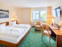 Zimmerbild 6