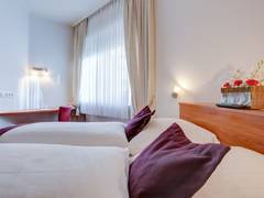 Zimmerbild 6
