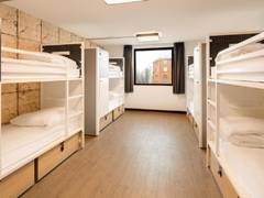 Zimmerbild 4