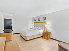 Zimmerbild 3