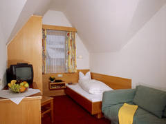 Zimmerbild 14