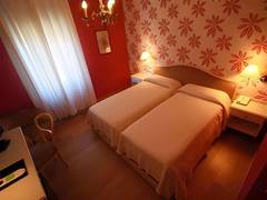 Zimmerbild 5
