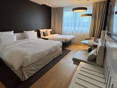 Zimmerbild 6