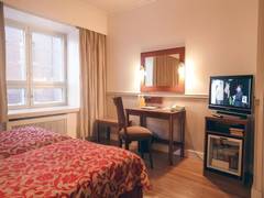 Zimmerbild 7