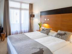Zimmerbild 15