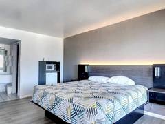 Zimmerbild 8