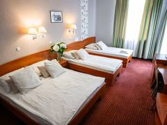 Zimmerbild 9